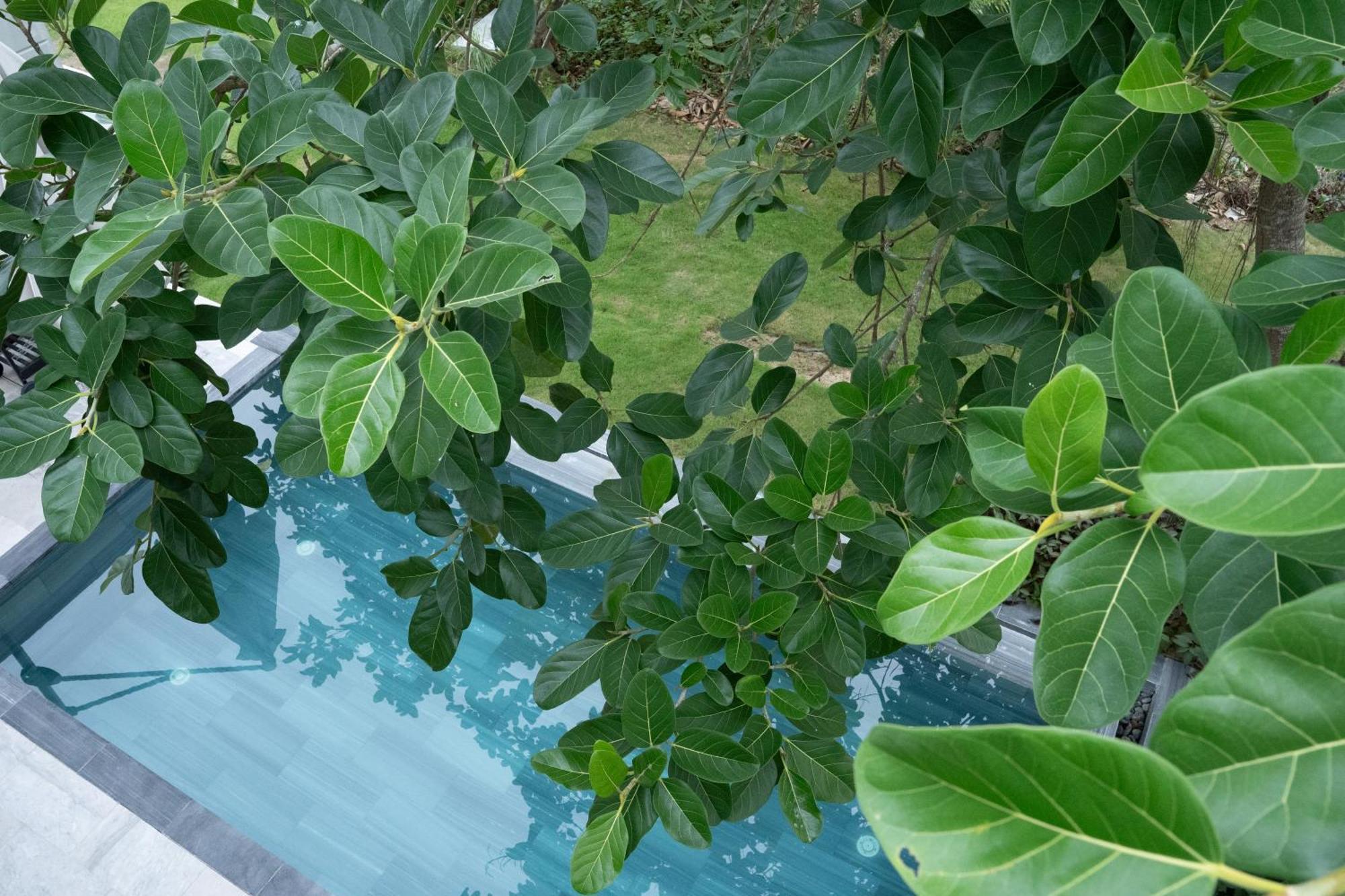 "Brg Golf Club" - Danang Private Pool Villa 3 Bedrooms #3 Bagian luar foto